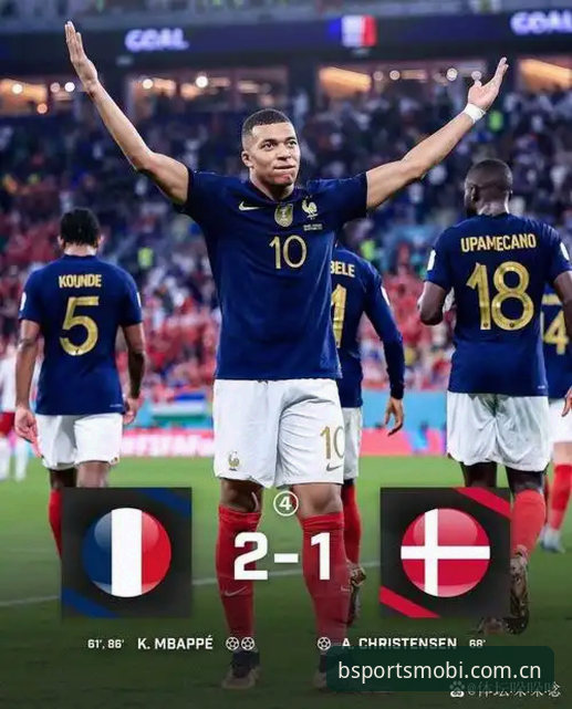 资深球迷分享在bsports手机版追法国队出线的心得